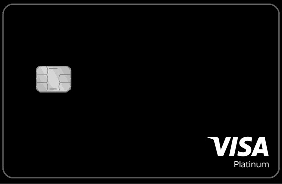 Tevau Visa Platinum ブラック実物カード